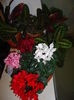 DSC00829