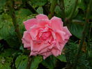 DSCN1157