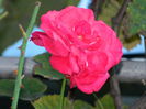 DSCN1160