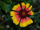 DSCN1167