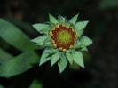 DSCN1168