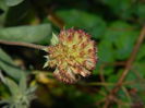 DSCN1170