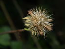 DSCN1172