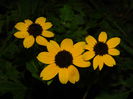 DSCN1177