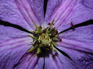 DSCN1180