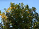 DSCN1182