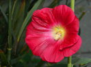 DSCN1184