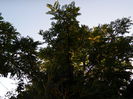 DSCN1185