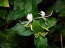 DSCN1187