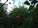 DSCN1191