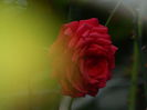 DSCN1197