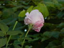 DSCN1219