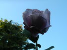 DSCN1222
