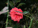 DSCN1263
