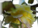 DSCN1267
