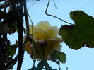 DSCN1273