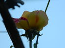 DSCN1274