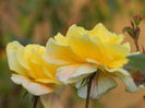 DSCN1276