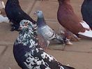 IMG-20141011-00955