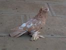 IMG-20141011-00988
