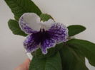 DSCF2686