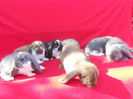 Picture 80 226