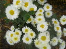 DSCN8806