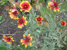 DSCN8811