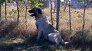 IMG-20141019-WA0080