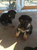 IMG-20141019-WA0014