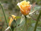 DSC00214
