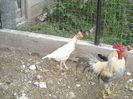 DSCN1267