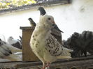 DSCN1303