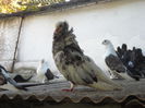 DSCN1304