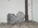 DSCN1320