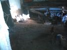 IMG_20141019_165655