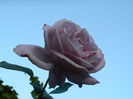 DSCN1313