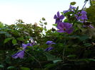 DSCN1314