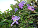 DSCN1315