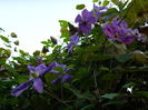 DSCN1316