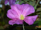 DSCN1319