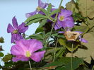 DSCN1320