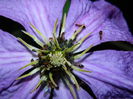 DSCN1321