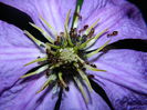 DSCN1322