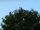 DSCN1324