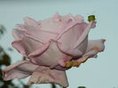 DSCN1329