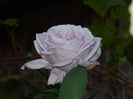 DSCN1332