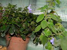 DSCN1352