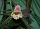 DSCN1356