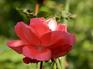 DSCN1400